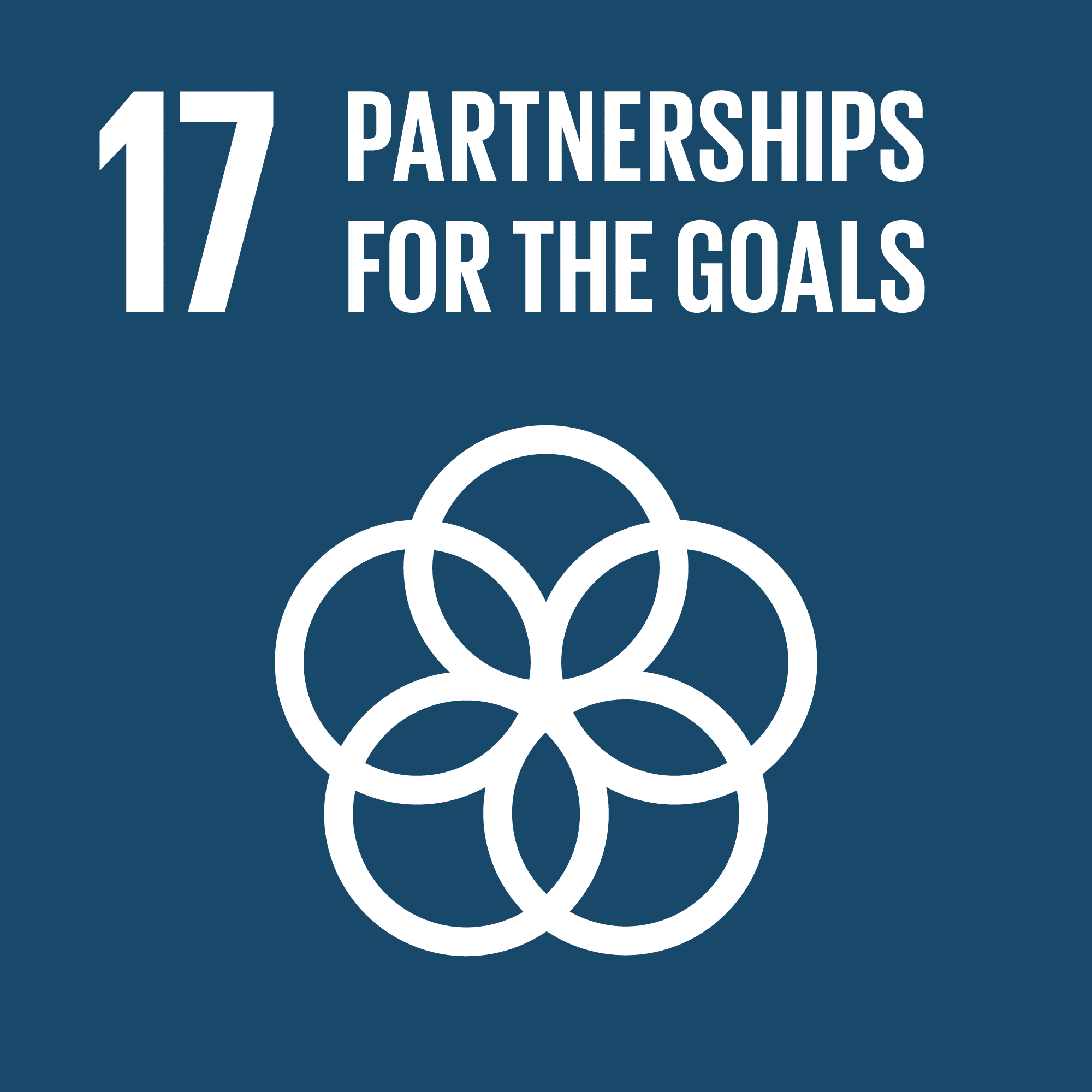TheGlobalGoals_Icons_Color_Goal_17